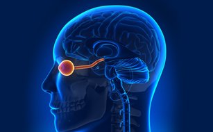 Neuro-Ophthalmology